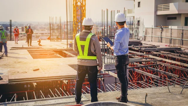 Project Consultancy